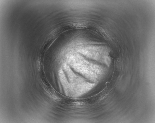 X0000075820741200609291410