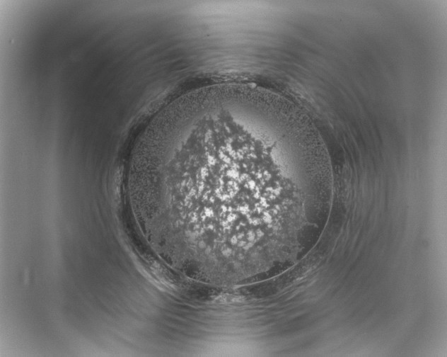 X0000075820742200609291410