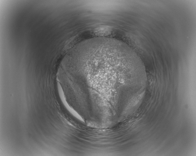 X0000075820745200609291410