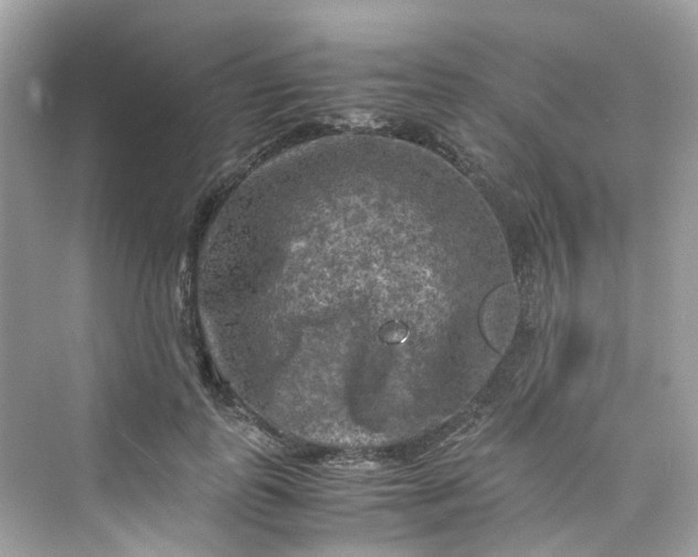 X0000075820747200609291410