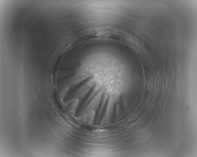 X0000075820748200609291410