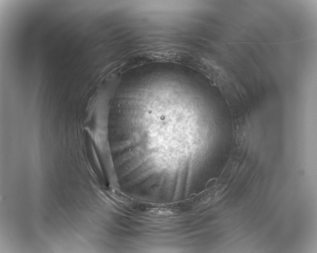 X0000075820749200609291410