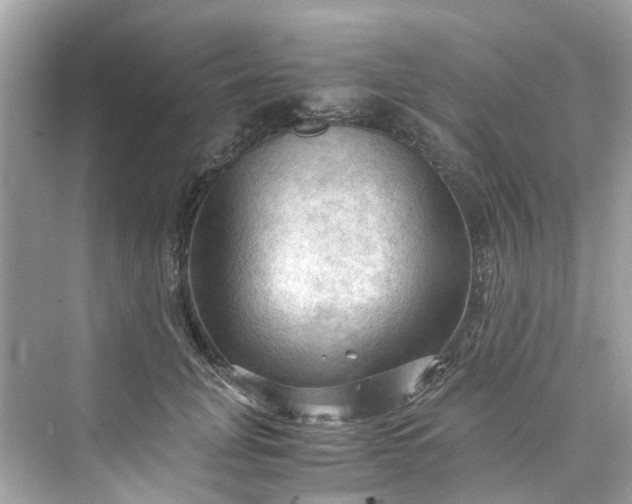 X0000075820751200609291410