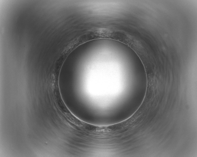 X0000075820752200609291410