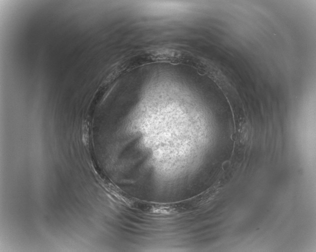 X0000075820753200609291410