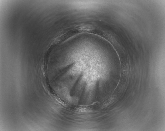 X0000075820755200609291410