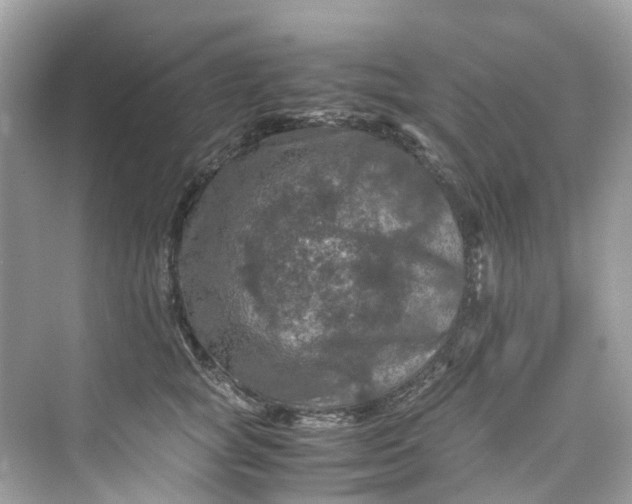 X0000075820757200609291411