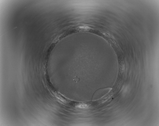 X0000075820759200609291411