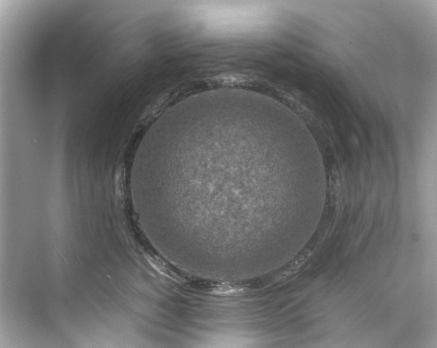 X0000075820760200609291411