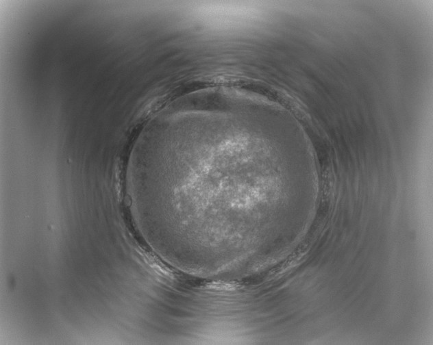 X0000075820762200609291411