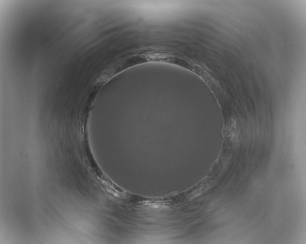 X0000075820763200609291411