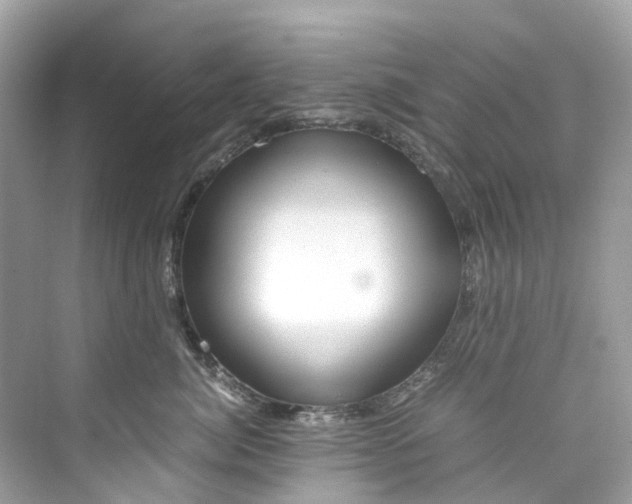 X0000075820764200609291411