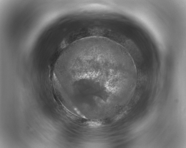 X0000075820765200609291411