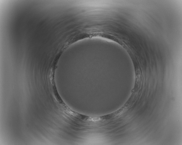 X0000075820767200609291411