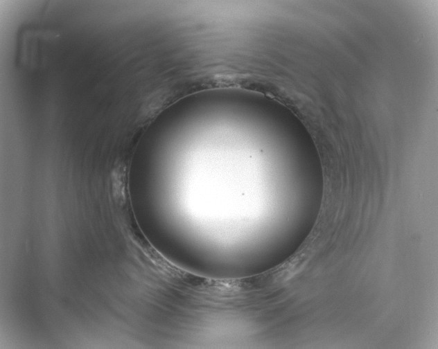 X0000075820768200609291411