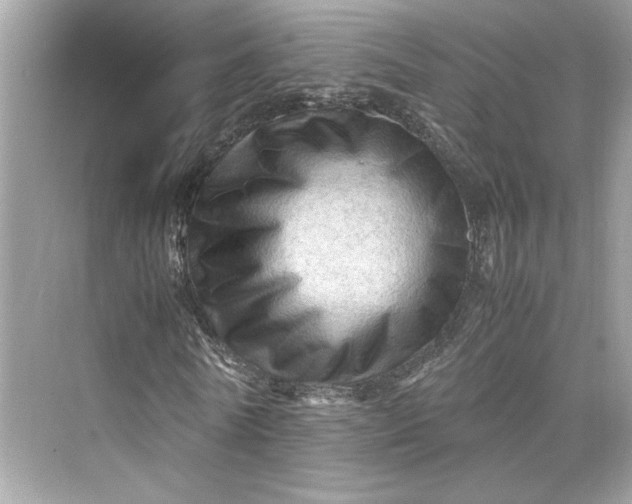 X0000075820770200609291410