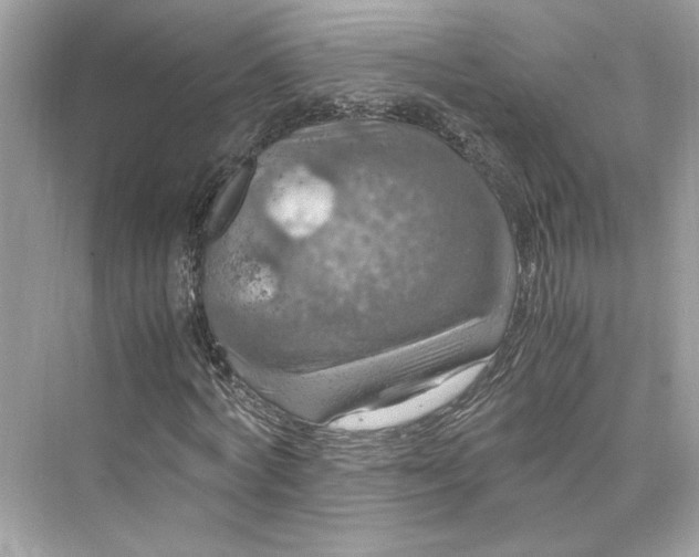 X0000075820772200609291410