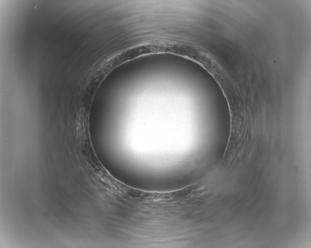 X0000075820773200609291410