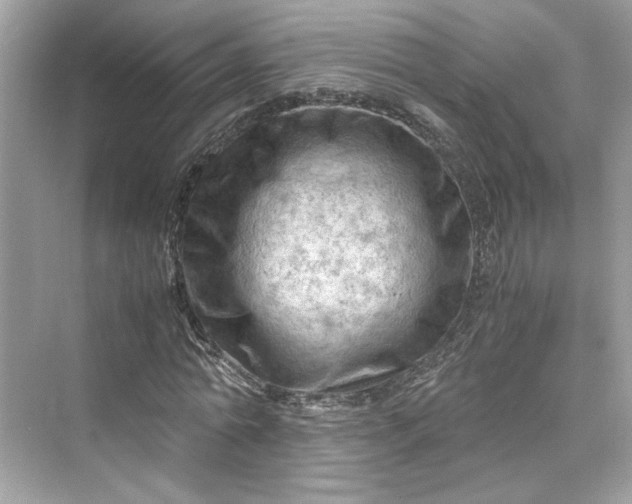 X0000075820774200609291410