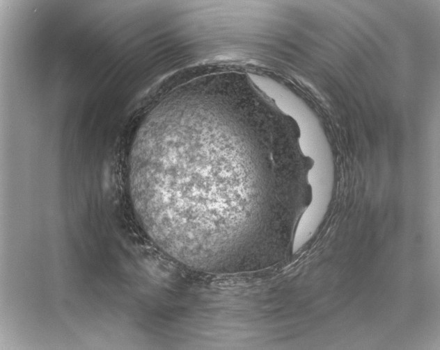 X0000075820776200609291410