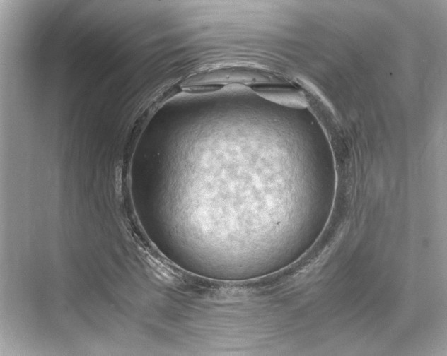 X0000075820777200609291410