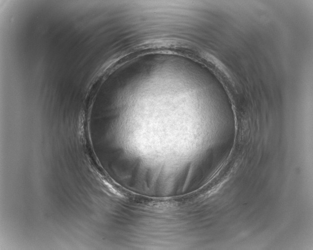 X0000075820778200609291410