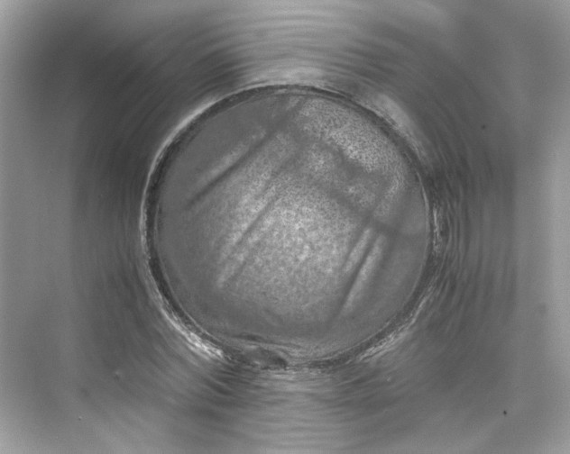 X0000075820780200609291410