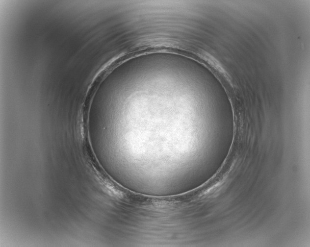 X0000075820782200609291410