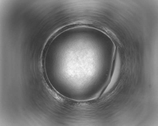 X0000075820784200609291410