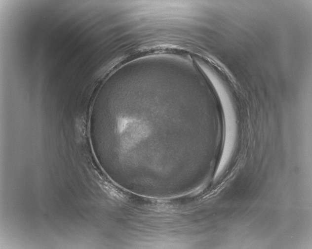 X0000075820785200609291410