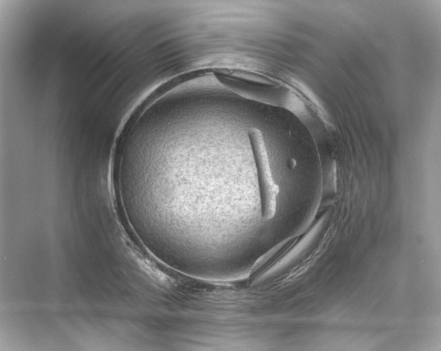 X0000075820788200609291410