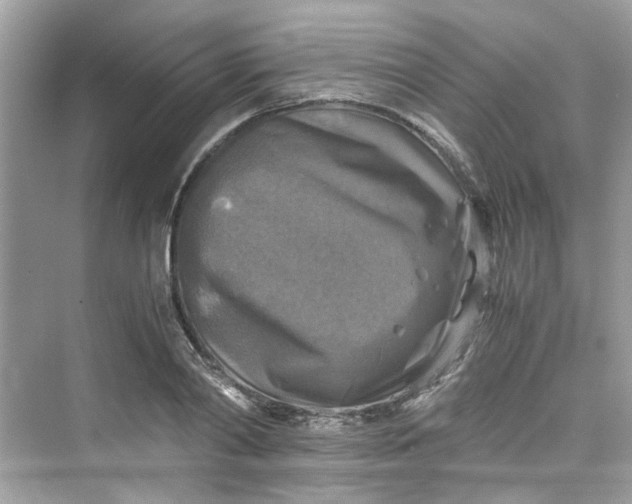 X0000075820790200609291410