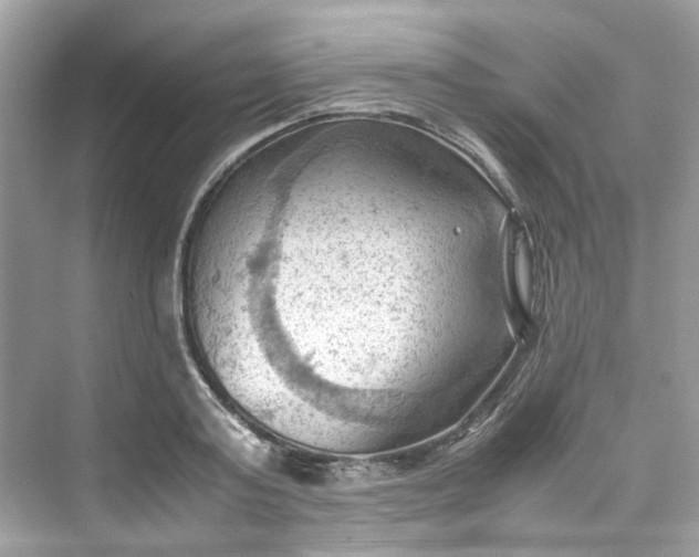 X0000075820795200609291409