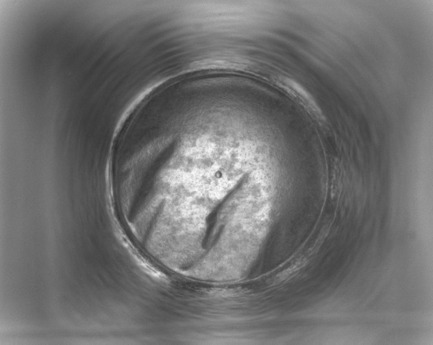 X0000075820796200609291409