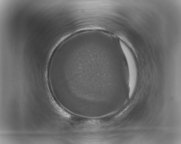 X0000075820797200609291409