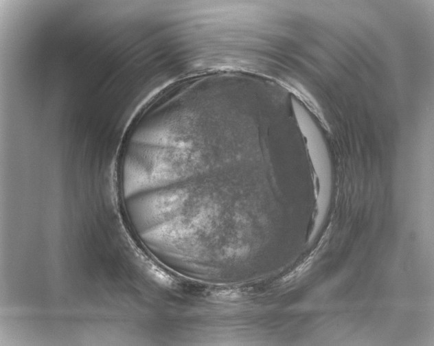 X0000075820798200609291409