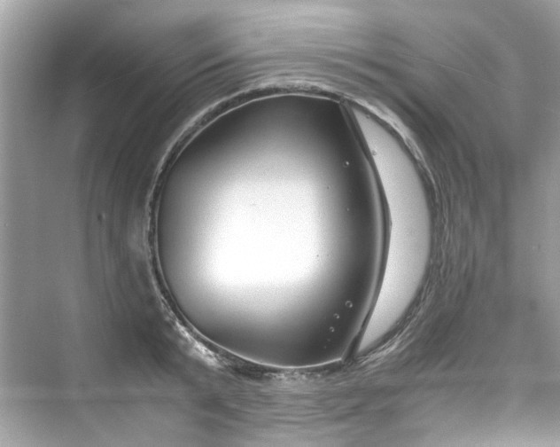 X0000075820799200609291409