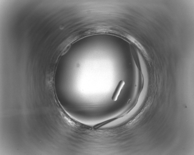 X0000075820801200609291409