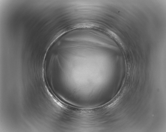 X0000075820802200609291409