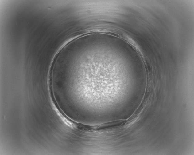 X0000075820803200609291409