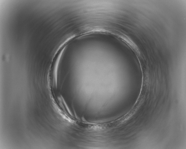 X0000075820806200609291409