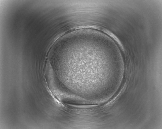 X0000075820809200609291409