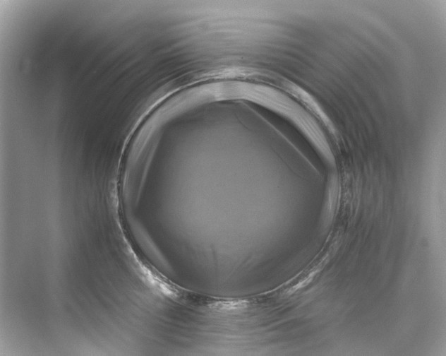 X0000075820810200609291409