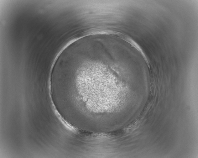 X0000075820811200609291409