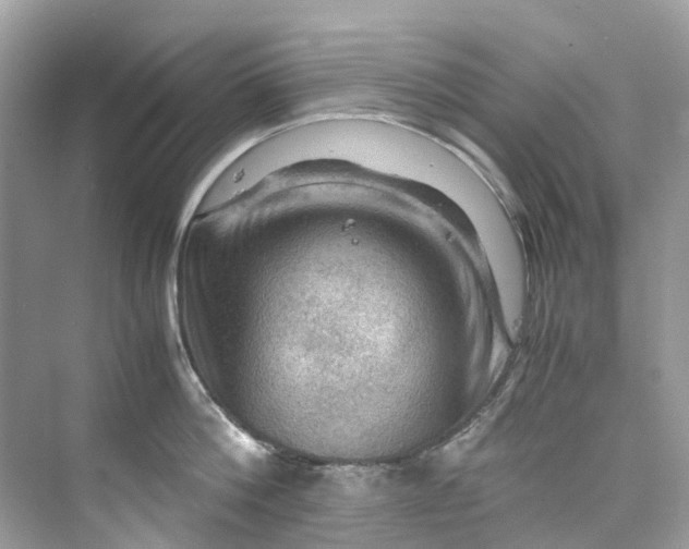 X0000075820812200609291409