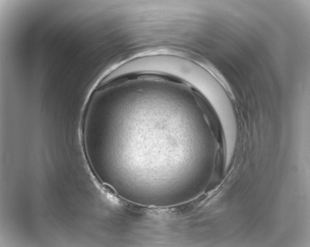 X0000075820813200609291409