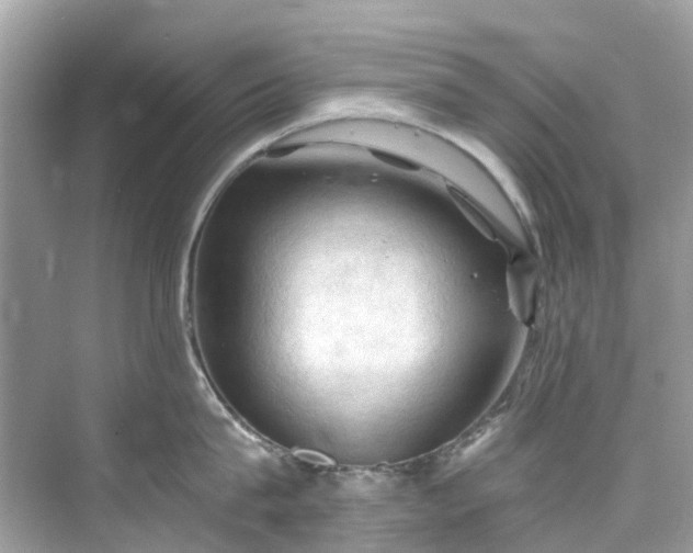 X0000075820815200609291409