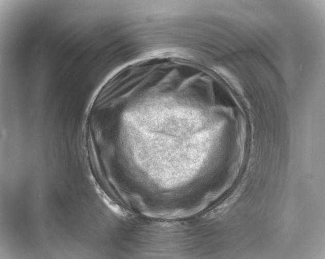 X0000075820816200609291409