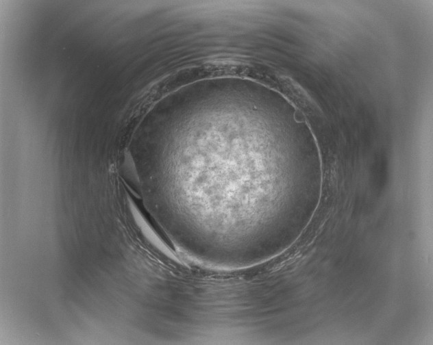 X0000075820821200609291408