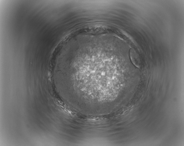 X0000075820823200609291408